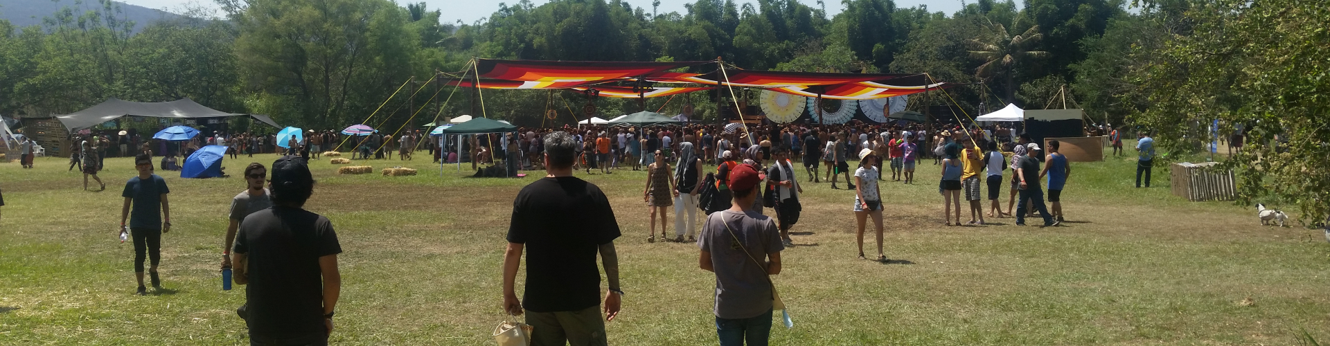 Electrypnose Gigs Banner